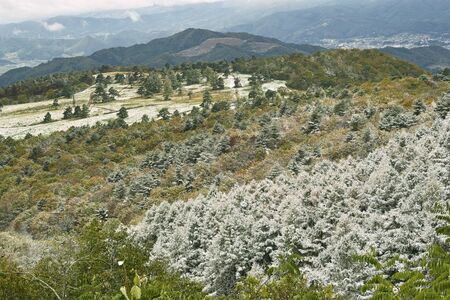 Winter ranchの写真素材