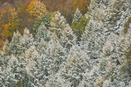 Rime ice