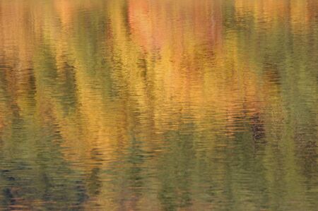 Surface of the waterの写真素材