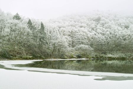 Rime iceの写真素材