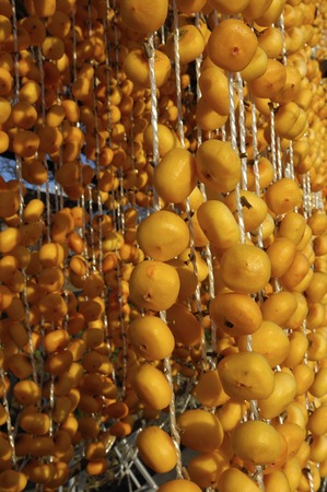 Dried persimmonの写真素材