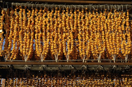 Dried persimmonの写真素材