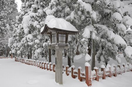 Lanterns of snowの写真素材