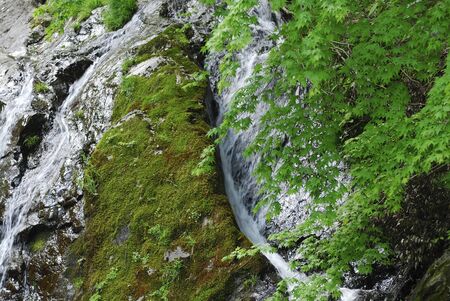 Waterfallの写真素材