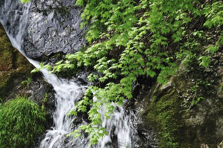 Waterfall