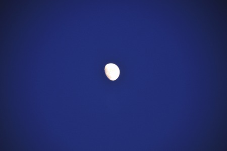 Moonの写真素材
