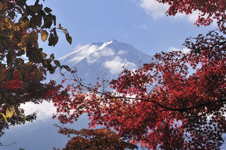 Fuji and autumn leavesの写真素材