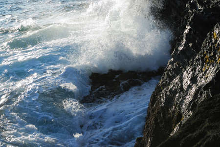 Sea