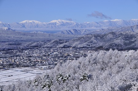 Snowy morningの写真素材