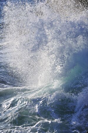 Sea