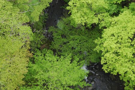 The fresh green of the valley