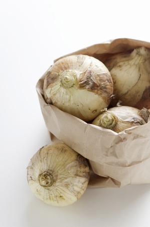 New onionの写真素材