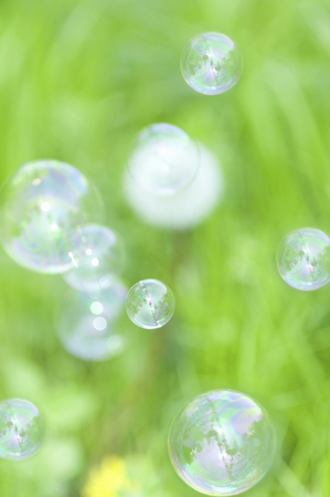 Dandelion fluff and bubblesの写真素材