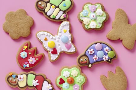 Insect icing cookiesの写真素材
