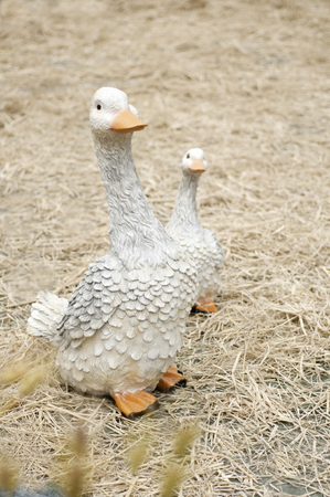 Garden mascot of duckの写真素材