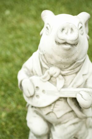 Pig playing the banjoの写真素材