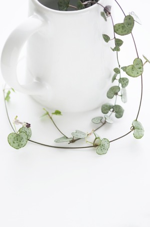 Heart vineの写真素材