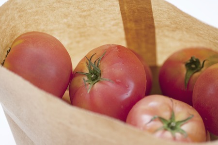Tomatoes that went into the bagの写真素材