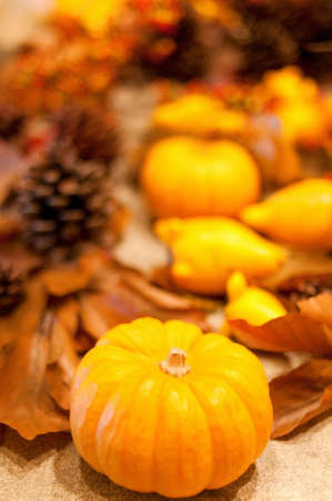 Halloween pumpkinの写真素材