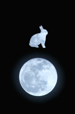 Full moon and the moon rabbitの写真素材