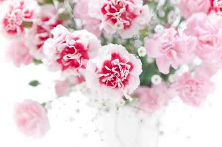 Carnation bouquetの写真素材