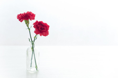 Carnation two-wheeledの写真素材