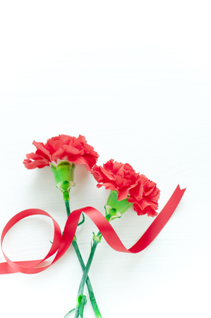 Carnations and Ribbonの写真素材