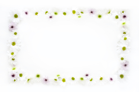 Frame of chrysanthemumの写真素材