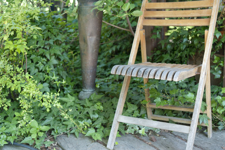 Chair of the garden of the treeの写真素材