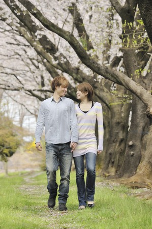 Lover walk under the cherry treesの写真素材