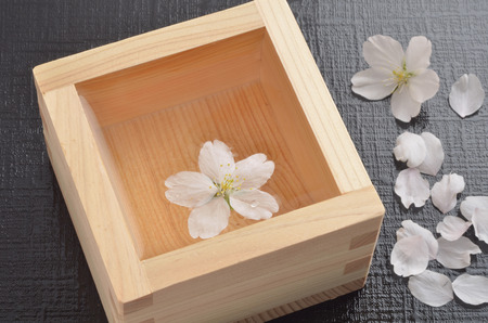 Cherry Blossom Wineの写真素材