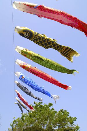 Carp streamerの写真素材