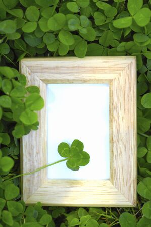 4 leaf clover and small picture frames.の写真素材