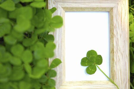 4 leaf clover and small picture frames.の写真素材