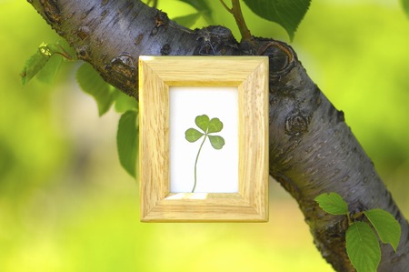 4 leaf clover and small picture frames.の写真素材