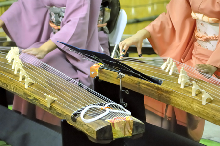 Koto playingの写真素材