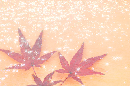 Maple Leaf