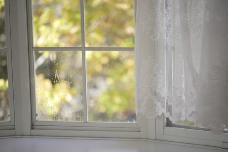 Autumn visible from white windowsillの写真素材