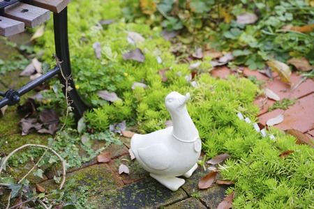 White Duck sculptureの写真素材