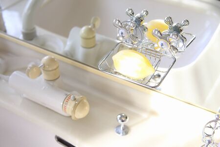Lemon type of soap and soap holder