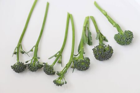 Broccoliの写真素材