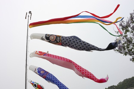 Carp swim the skyの写真素材