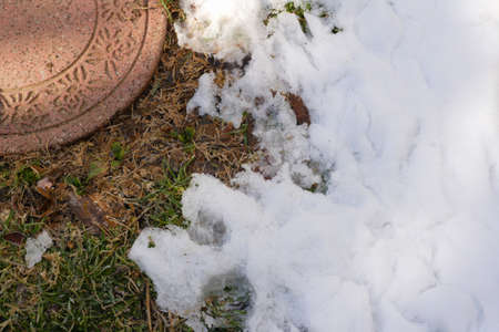 garden snow remainsの写真素材