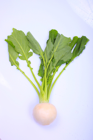 Vegetables turnipの写真素材