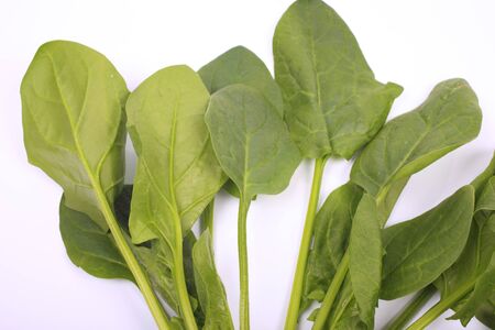 Vegetables spinach