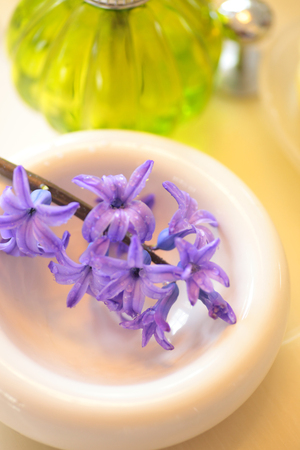 Carrying a SOAP holder hyacinth flowersの写真素材