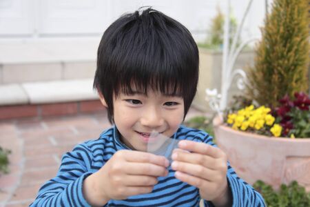 Boys in blue in the garden playingの写真素材