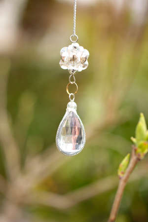 Garden of San catcherの写真素材