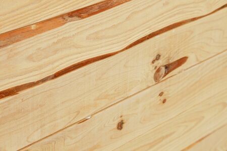 Timberの写真素材