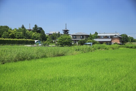 Yakushi-ji Templeの写真素材